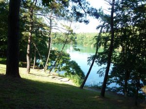Port du Bélon bois